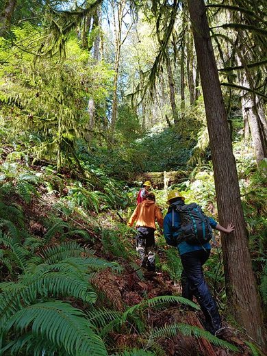A field survey underway in the Oregon Coast Range